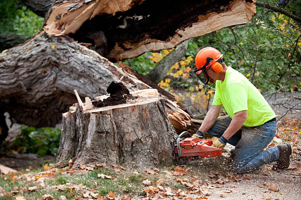  Kuna, ID Tree Service Pros